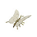 Vlinder Magliano elin M wit