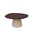 Salontafel Marroni mangohout organisch