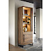 Wandkast Gianta houtstructuur sheesham decor