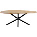 Eettafel Troia eivormig 225x120cm