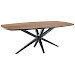 Eettafel Warita Deens ovaal houtstructuur 220x120cm